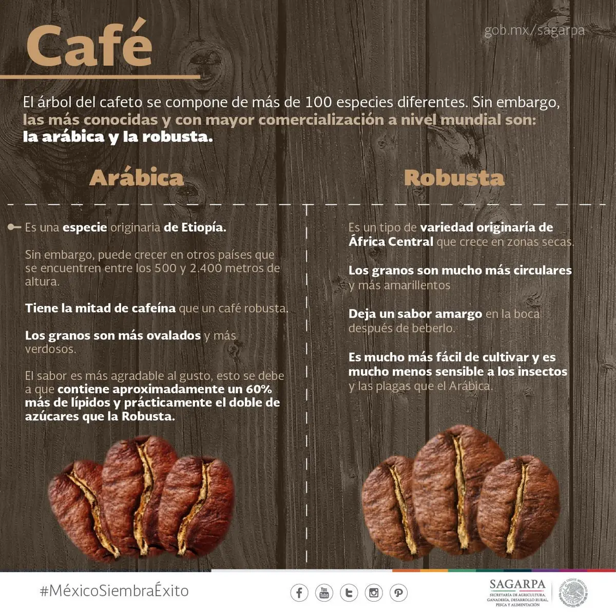 beneficios
