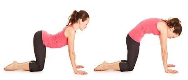 como tener abdominales como tener abdominales