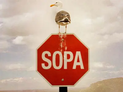 Ley S.O.P.A ( informate )