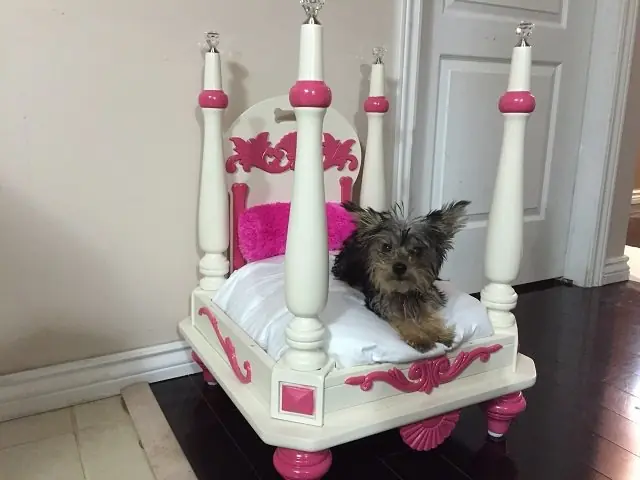 perrita
