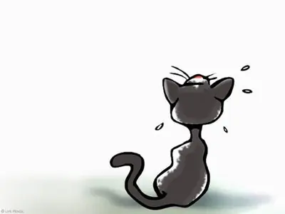 gusano