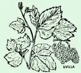 naturaleza