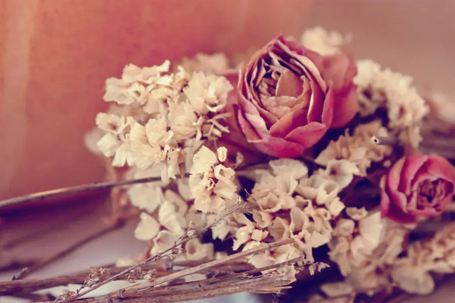 flores