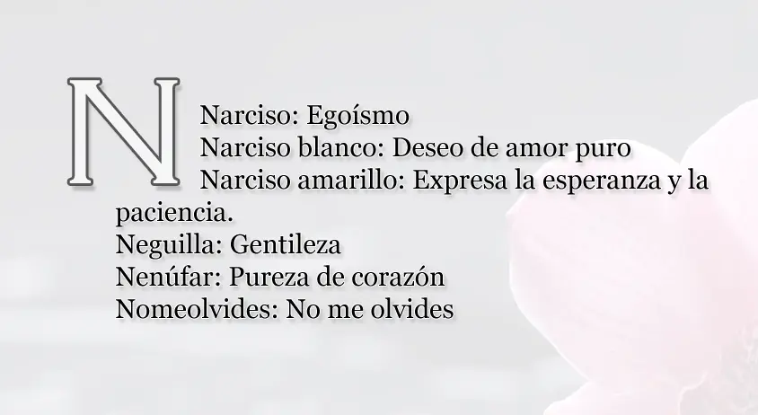 rosas