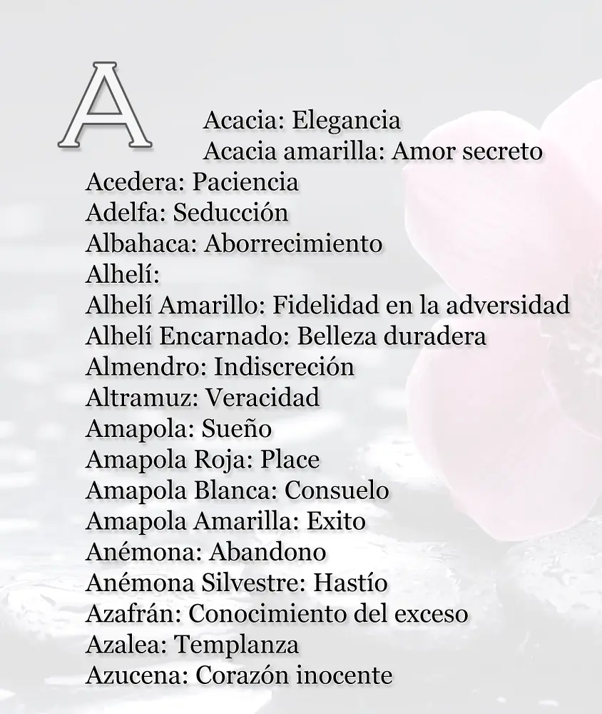Entra lince y te enseño a lanzar indirectas sutiles
