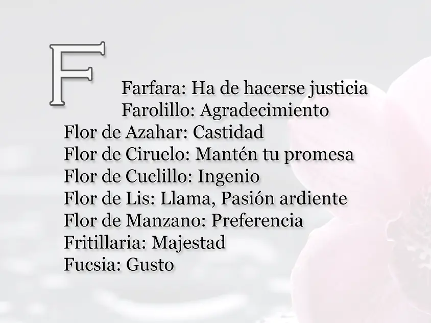 Entra lince y te enseño a lanzar indirectas sutiles