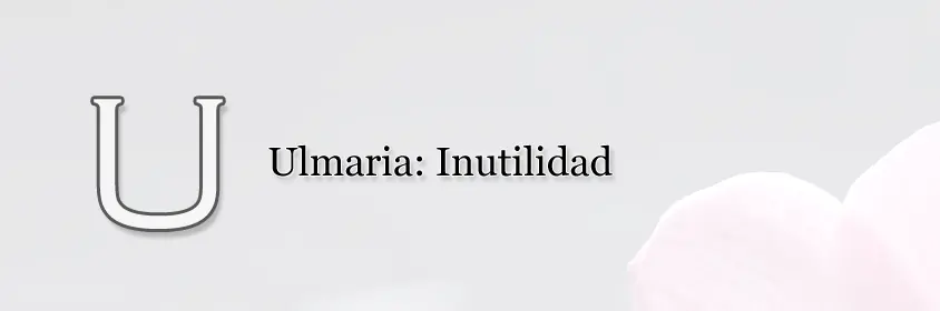 lenguaje
