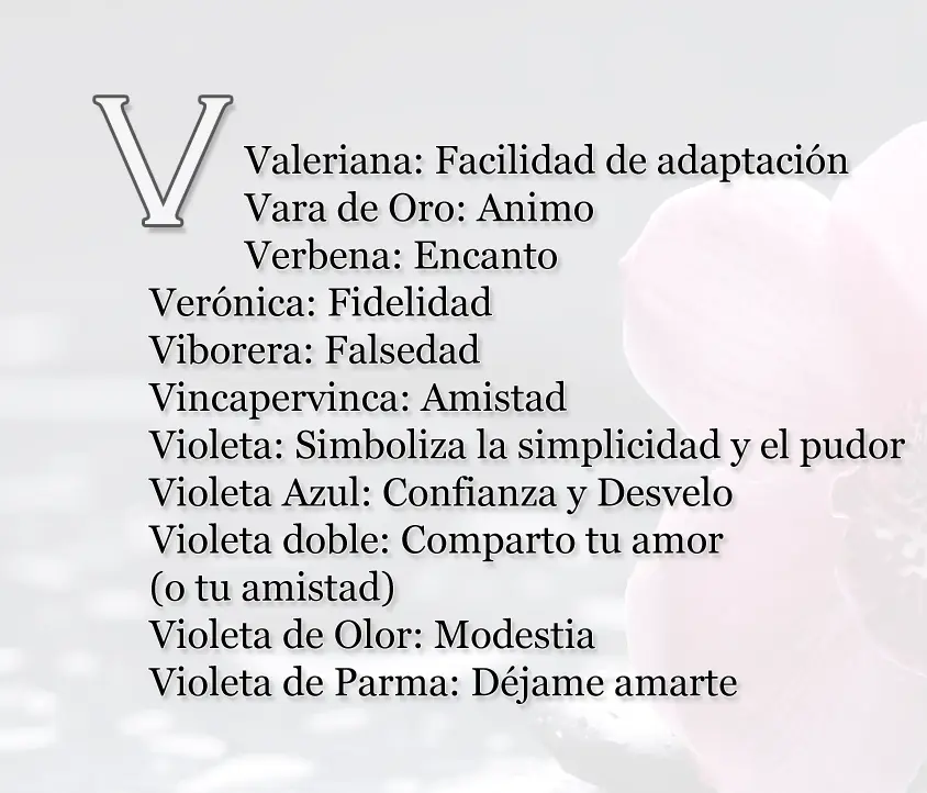 indirectas indirectas