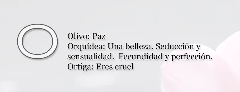 lenguaje lenguaje