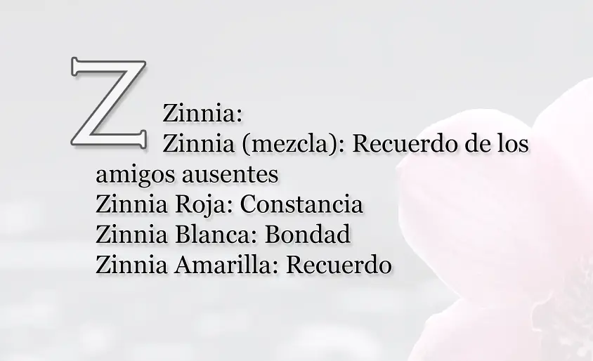 Entra lince y te enseño a lanzar indirectas sutiles
