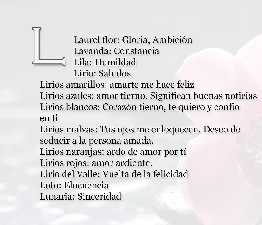 Entra lince y te enseño a lanzar indirectas sutiles