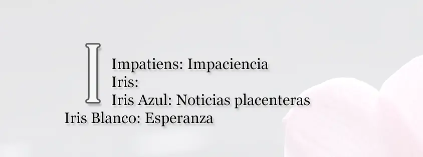 lenguaje lenguaje