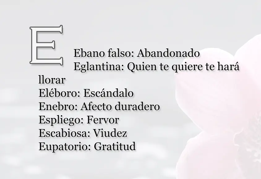 indirectas