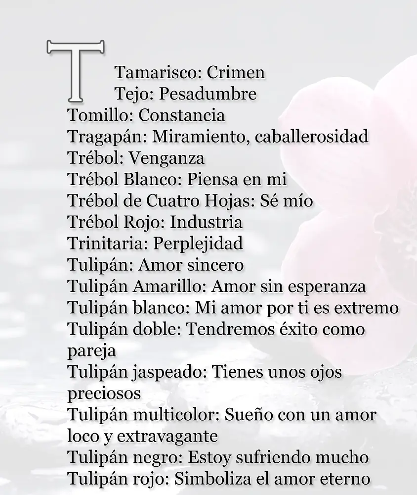rosas
