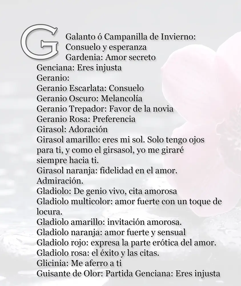 flores