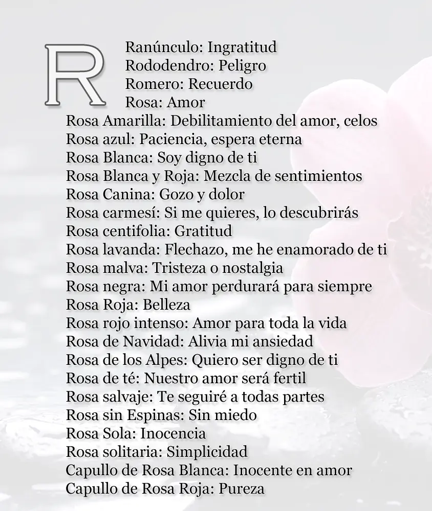 Entra lince y te enseño a lanzar indirectas sutiles