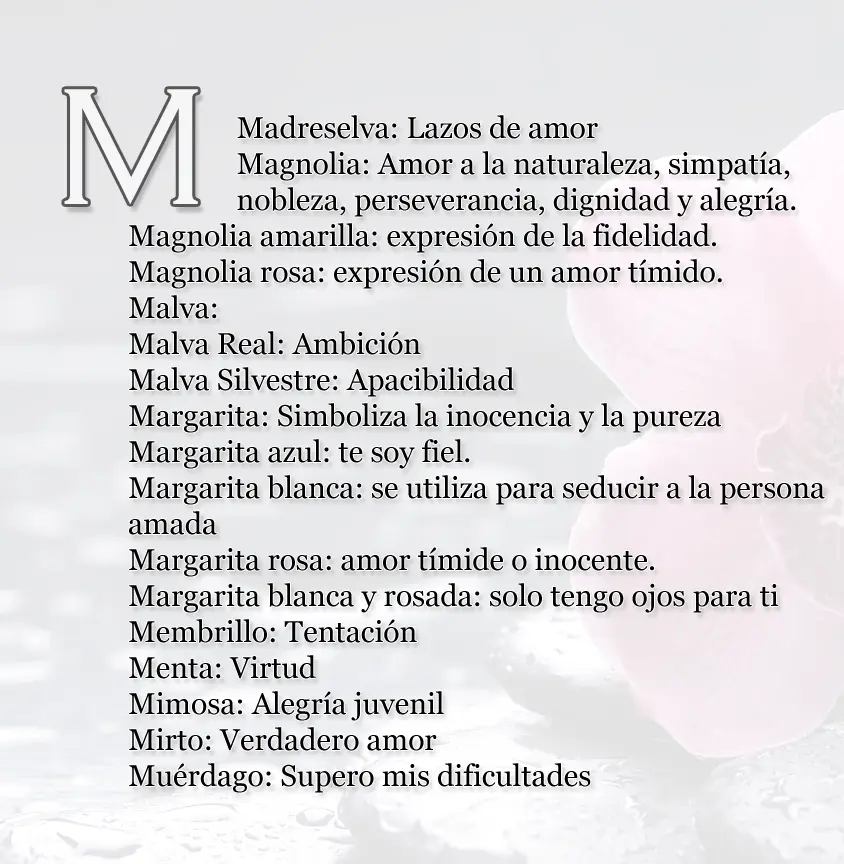 flores