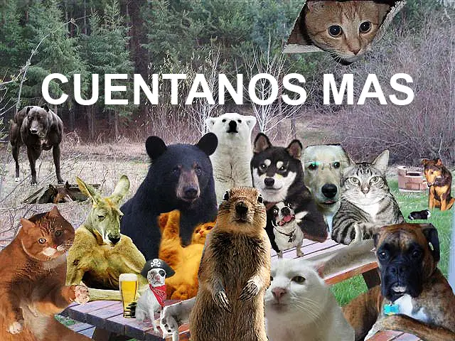 Cosas que talvez no sabías(megapost)