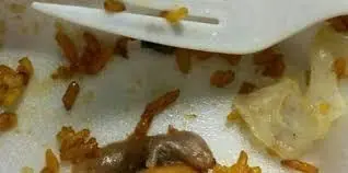 Alimentos contaminados con rata