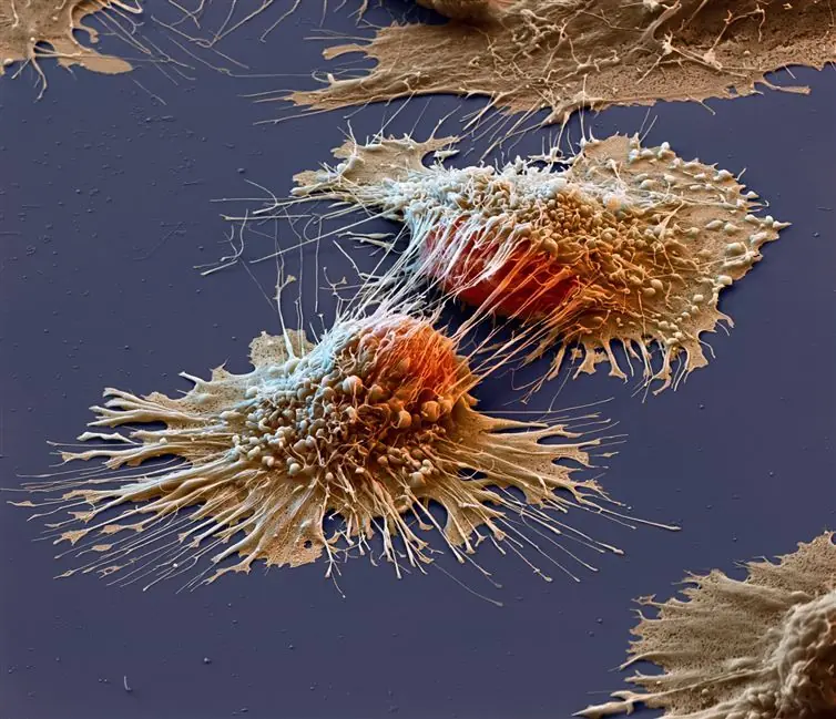 21 imágenes fascinantes que seguramente no hayas visto antes 21 imágenes fascinantes que seguramente no hayas visto antes