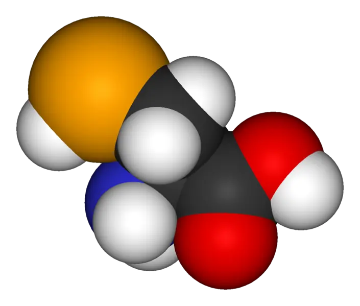biología molecular biología molecular