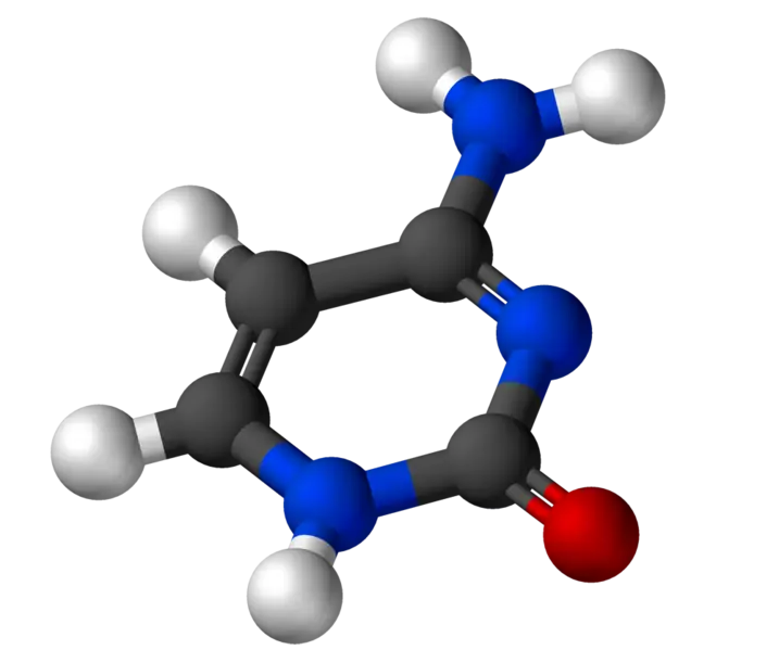 biología celular