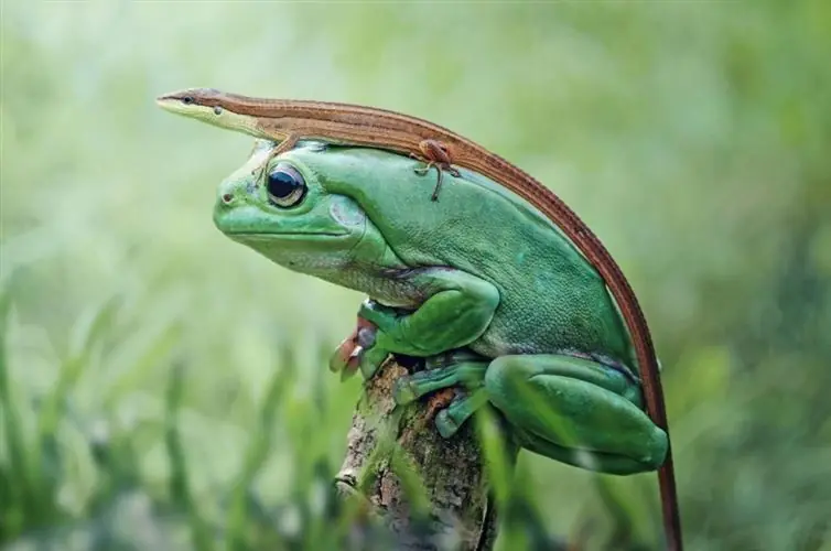 21 imágenes fascinantes que seguramente no hayas visto antes 21 imágenes fascinantes que seguramente no hayas visto antes