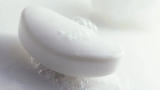 vagina