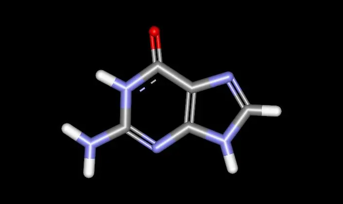 Nucleotidos y Aminoácidos (aa)