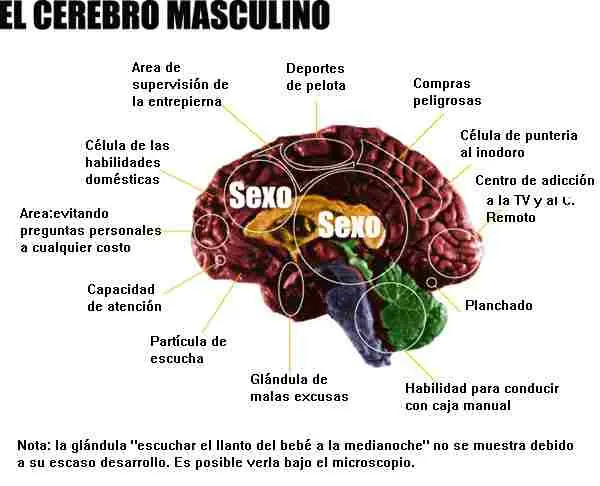 imagenes