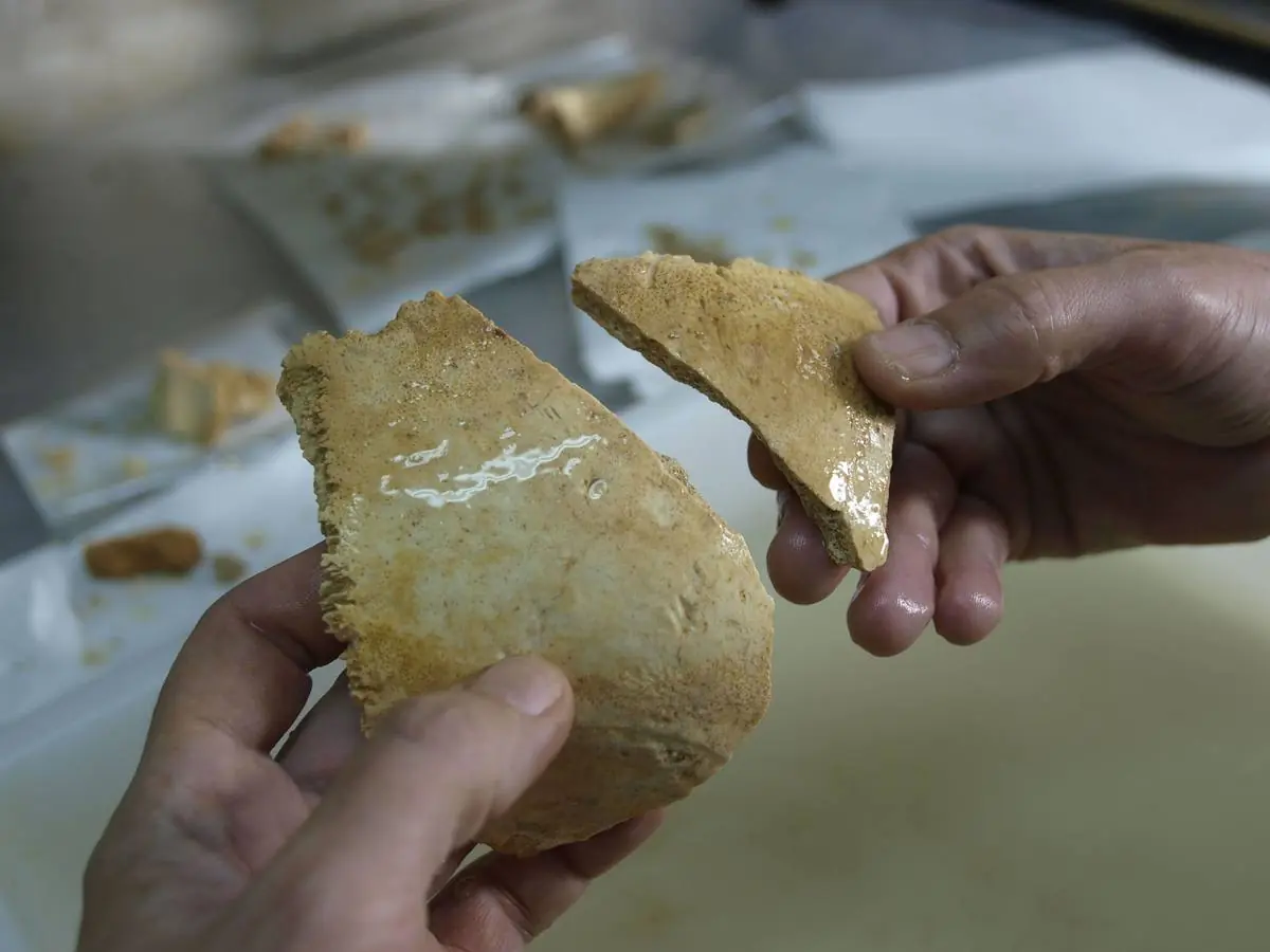 atapuerca