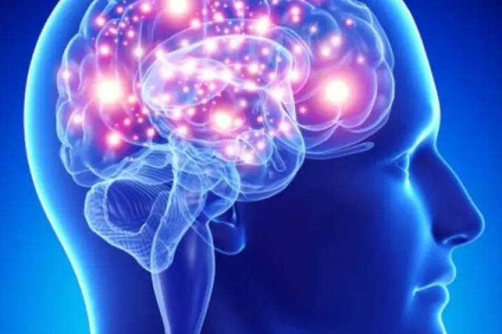 La parte del cerebro que no madura hasta los 36 años