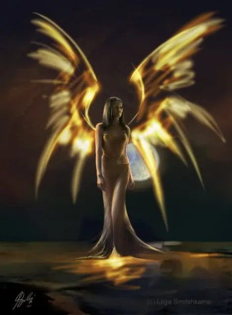 Hemera