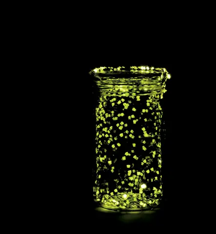 Luz