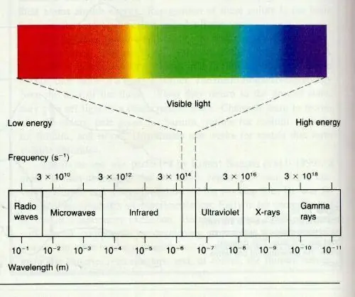 vision termica