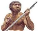 evolucion humana