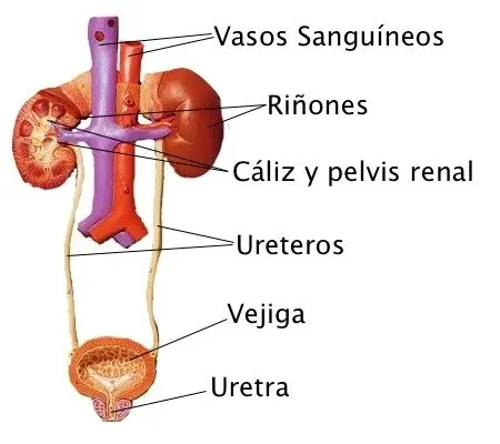 Piedras