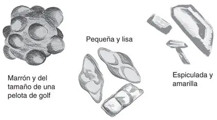tratamiento