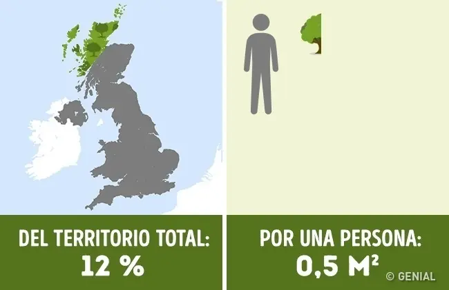 ¿Cuántos árboles por habitante tienen los países del mundo?