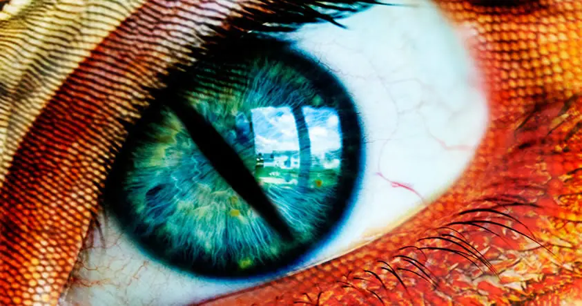 Ocho rasgos reptilianos en los seres humanos