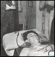 bruce lee