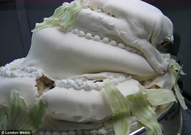 tortas