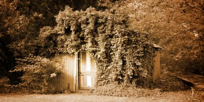 hansel gretel