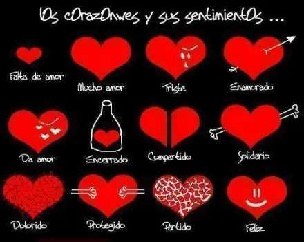 frases bonitas