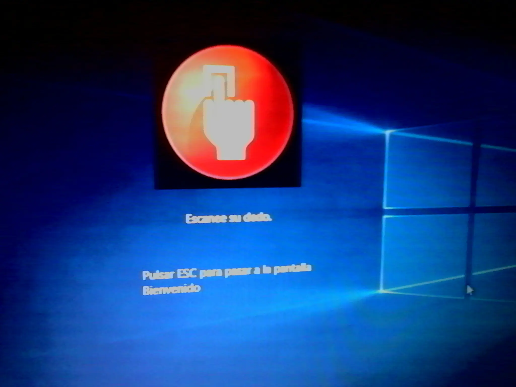 windows 10