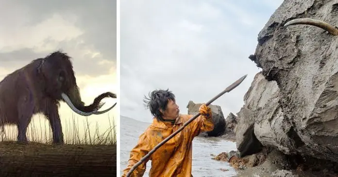 Los científicos están resucitando a los mamuts