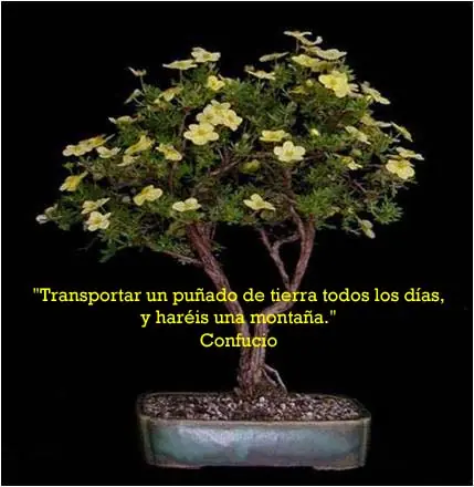 Seguir adelante a pesar de todo