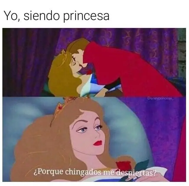 Memes de Disney que te harán reír a carcajadas
