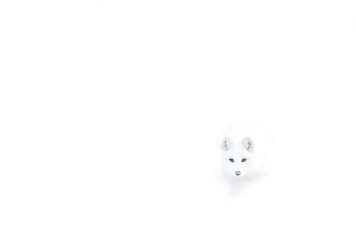 eres