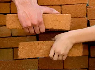 seguir adelante